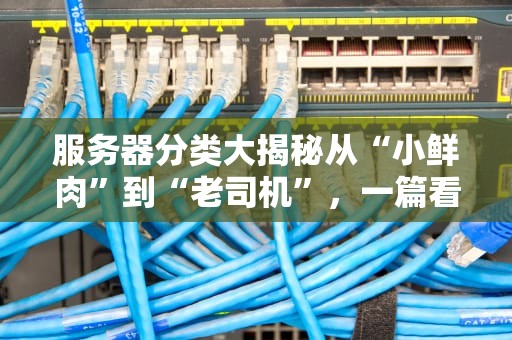 服务器分类大揭秘从“小鲜肉”到“老司机”，一篇看懂所有类型！