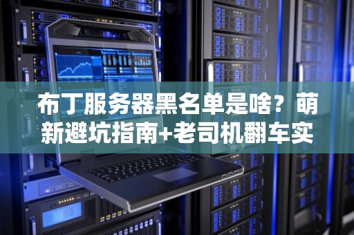 布丁服务器黑名单是啥？萌新避坑指南+老司机翻车实录！