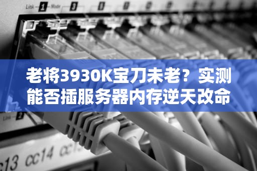 老将3930K宝刀未老？实测能否插服务器内存逆天改命！