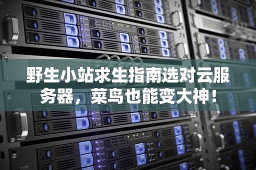 野生小站求生指南选对云服务器，菜鸟也能变大神！