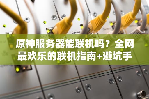 原神服务器能联机吗？全网最欢乐的联机指南+避坑手册！