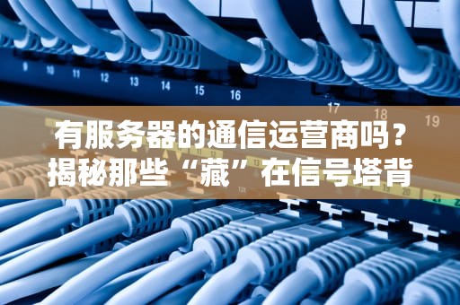 有服务器的通信运营商吗？揭秘那些“藏”在信号塔背后的科技大佬！
