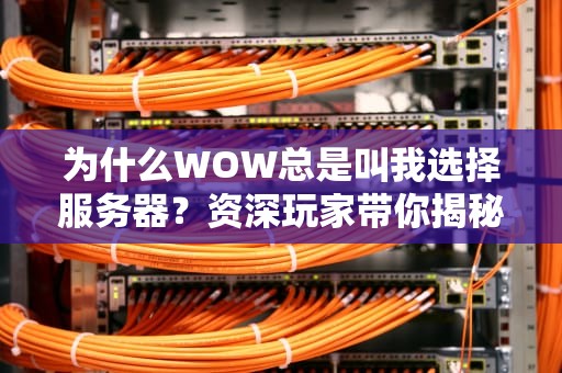 为什么WOW总是叫我选择服务器？资深玩家带你揭秘服务器选择的“玄学”
