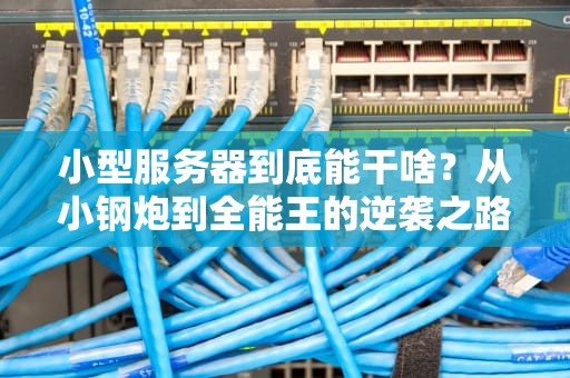 小型服务器到底能干啥？从小钢炮到全能王的逆袭之路！