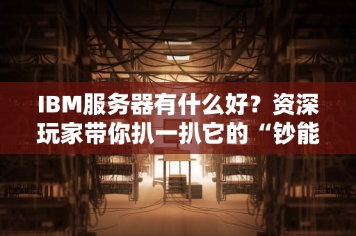 IBM服务器有什么好？资深玩家带你扒一扒它的“钞能力”与黑科技！