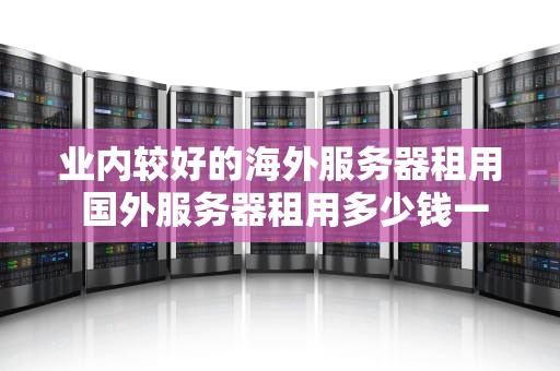业内较好的海外服务器租用 国外服务器租用多少钱一年