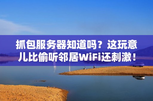 抓包服务器知道吗？这玩意儿比偷听邻居WiFi还刺激！