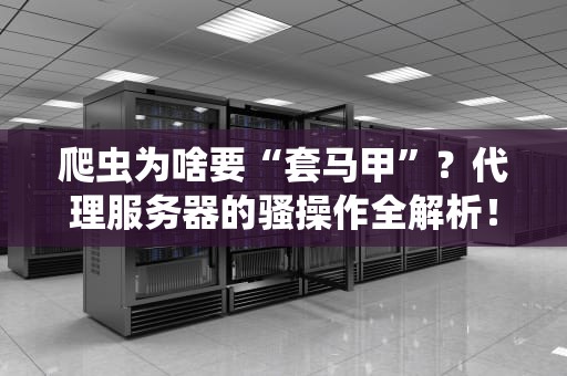 爬虫为啥要“套马甲”？代理服务器的骚操作全解析！