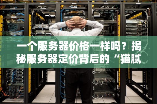 一个服务器价格一样吗？揭秘服务器定价背后的“猫腻”和选购技巧！