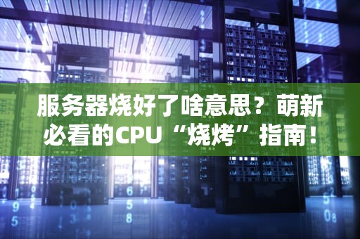 服务器烧好了啥意思？萌新必看的CPU“烧烤”指南！