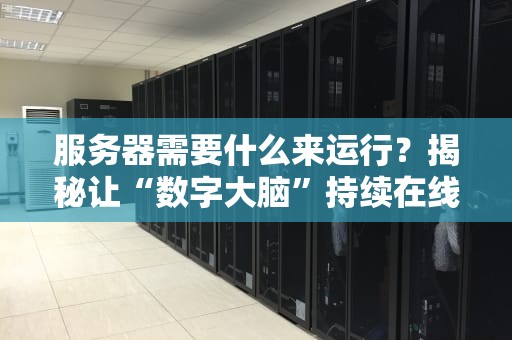 服务器需要什么来运行？揭秘让“数字大脑”持续在线的秘密配方！
