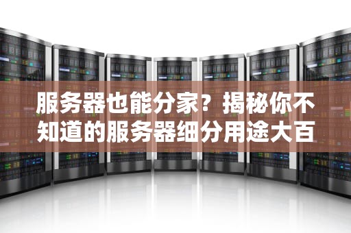 服务器也能分家？揭秘你不知道的服务器细分用途大百科！