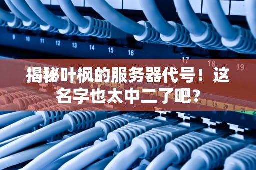揭秘叶枫的服务器代号！这名字也太中二了吧？