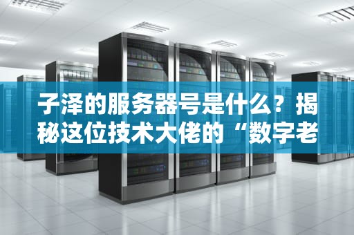 子泽的服务器号是什么？揭秘这位技术大佬的“数字老巢”