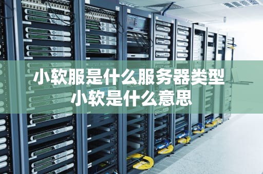 小软服是什么服务器类型 小软是什么意思