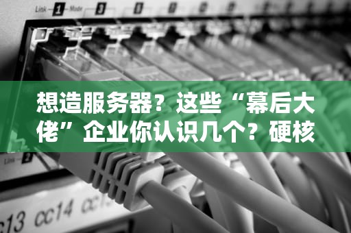 想造服务器？这些“幕后大佬”企业你认识几个？硬核科普