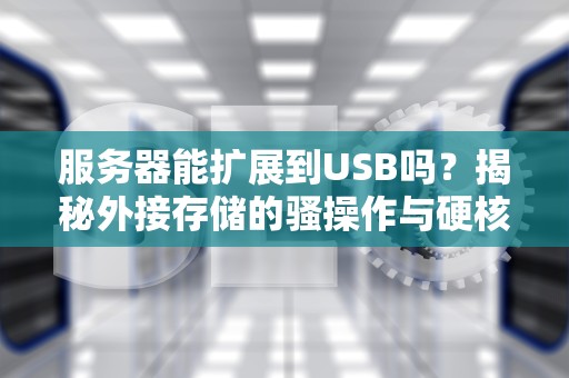 服务器能扩展到USB吗？揭秘外接存储的骚操作与硬核知识！
