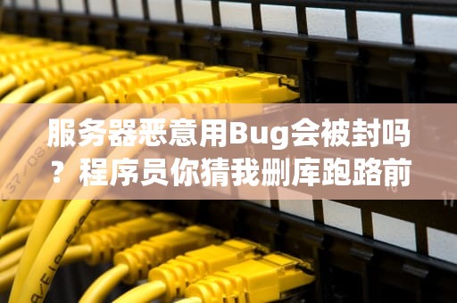 服务器恶意用Bug会被封吗？程序员你猜我删库跑路前在想啥？