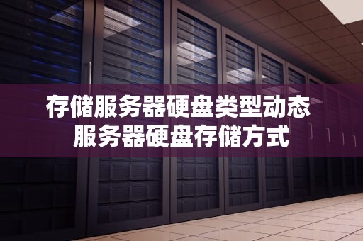 存储服务器硬盘类型动态 服务器硬盘存储方式