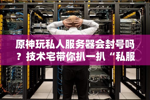 原神玩私人服务器会封号吗？技术宅带你扒一扒“私服”那些坑！