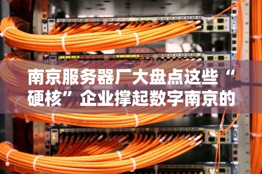 南京服务器厂大盘点这些“硬核”企业撑起数字南京的脊梁！