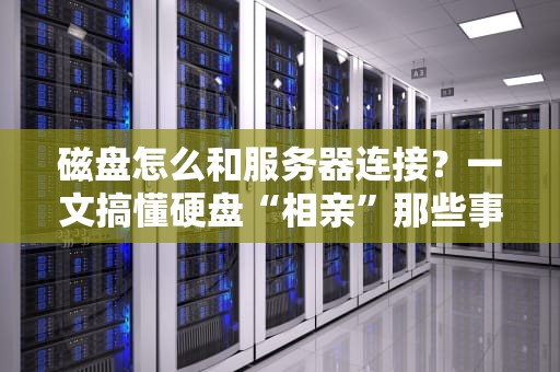磁盘怎么和服务器连接？一文搞懂硬盘“相亲”那些事儿！