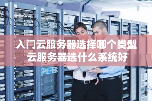 入门云服务器选择哪个类型 云服务器选什么系统好
