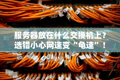 服务器放在什么交换机上？选错小心网速变“龟速”！
