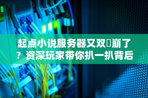 起点小说服务器又双叒崩了？资深玩家带你扒一扒背后的“土豆发电”真相！