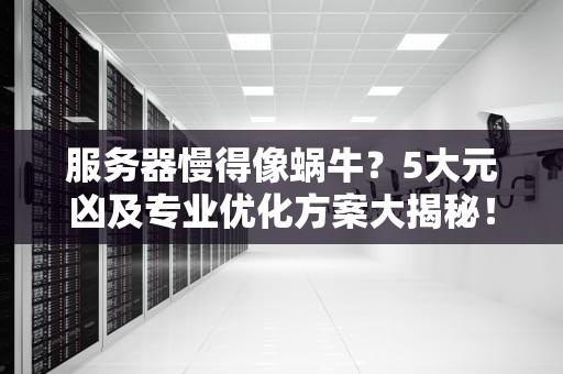 服务器慢得像蜗牛？5大元凶及专业优化方案大揭秘！