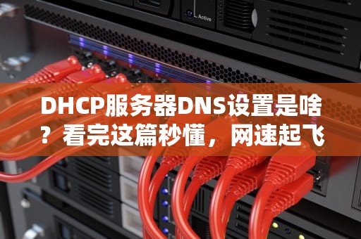 DHCP服务器DNS设置是啥？看完这篇秒懂，网速起飞不是梦！