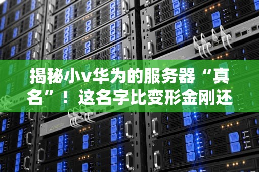 揭秘小v华为的服务器“真名”！这名字比变形金刚还霸气？
