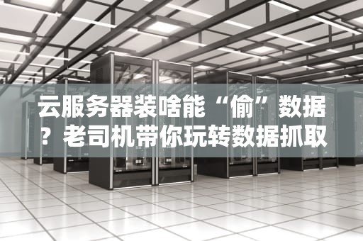 云服务器装啥能“偷”数据？老司机带你玩转数据抓取神器！