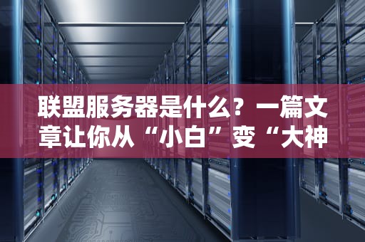 联盟服务器是什么？一篇文章让你从“小白”变“大神”！