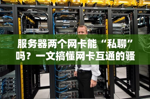 服务器两个网卡能“私聊”吗？一文搞懂网卡互通的骚操作！