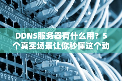 DDNS服务器有什么用？5个真实场景让你秒懂这个动态导航员！