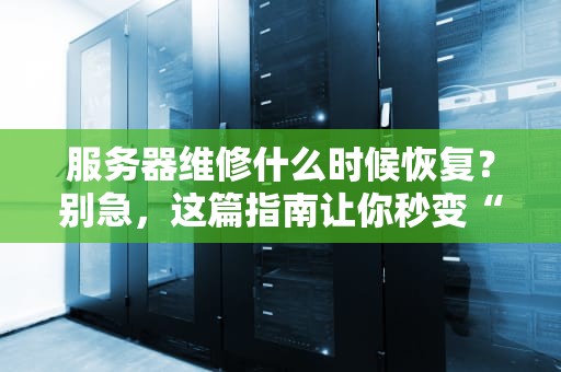 服务器维修什么时候恢复？别急，这篇指南让你秒变“机房福尔摩斯”！
