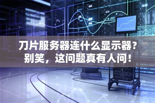 刀片服务器连什么显示器？别笑，这问题真有人问！
