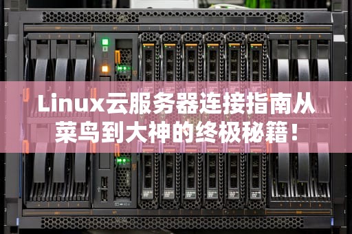 Linux云服务器连接指南从菜鸟到大神的终极秘籍！