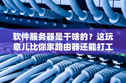 软件服务器是干啥的？这玩意儿比你家路由器还能打工！
