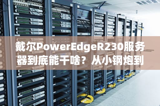 戴尔PowerEdgeR230服务器到底能干啥？从小钢炮到万金油的硬核科普！