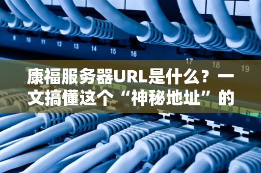 康福服务器URL是什么？一文搞懂这个“神秘地址”的来龙去脉！