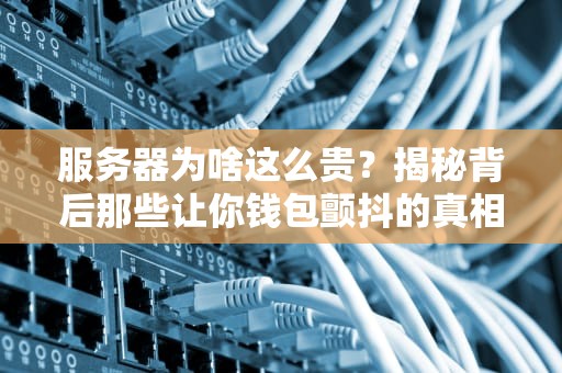 服务器为啥这么贵？揭秘背后那些让你钱包颤抖的真相！