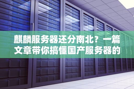 麒麟服务器还分南北？一篇文章带你搞懂国产服务器的地域玄学！