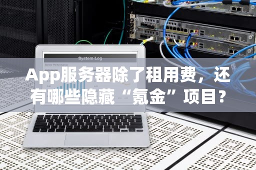 App服务器除了租用费，还有哪些隐藏“氪金”项目？老司机带你避坑！