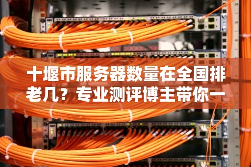 十堰市服务器数量在全国排老几？专业测评博主带你一探究竟！