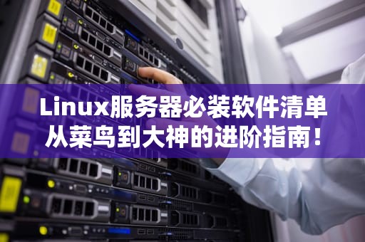 Linux服务器必装软件清单从菜鸟到大神的进阶指南！