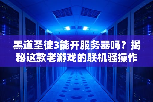 黑道圣徒3能开服务器吗？揭秘这款老游戏的联机骚操作！
