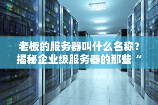 老板的服务器叫什么名称？揭秘企业级服务器的那些“花名”与硬核真相！