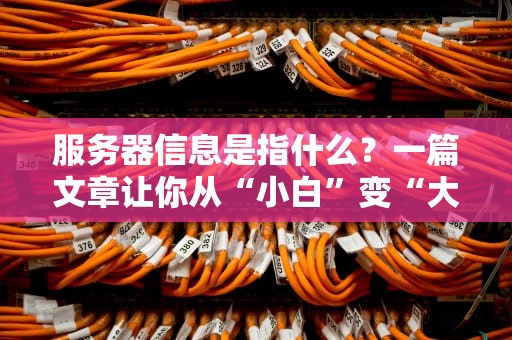 服务器信息是指什么？一篇文章让你从“小白”变“大神”！